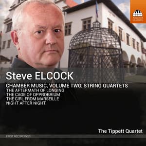 Steve Elcock: Chamber Music, Vol. 2: String Quartets - Steve Elcock