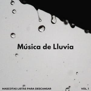 Música De Lluvia: Mascotas Listas Para Descansar Vol. 1 - Sonidos de Lluvia 24H