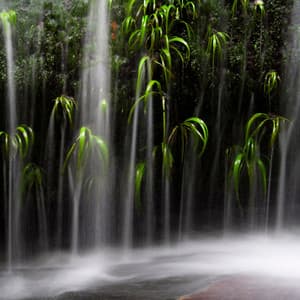 Drizzle Dreams: Rain Meditation Melodies for Calmness - Stormie