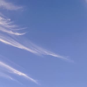 50 White Noise Sounds: Serene Tranquility - Focus Noise