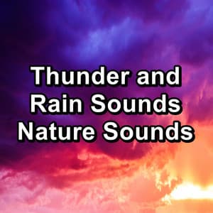 Thunder and Rain Sounds Nature Sounds - Rain Storm Sounds
