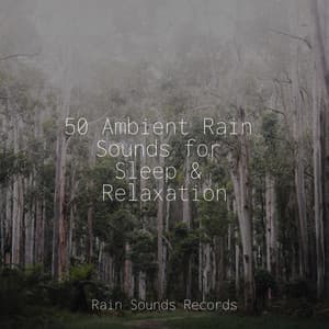 50 Ambient Rain Sounds for Sleep & Relaxation - Nature Sounds Nature Music