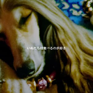 いぬたちは食べるのが好き - Deluxe Cafe Jazz