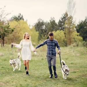 Pawsome Peace: Chill Music for Peaceful Walks with Pets - Calm Animals Music