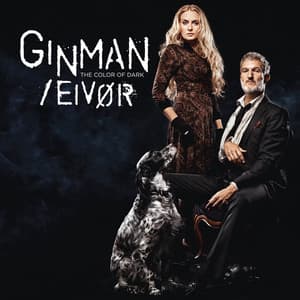 The Color Of Dark - Lennart Ginman