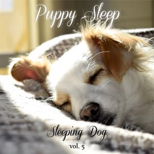 Sleeping Dog Volume 5 - Puppy Sleep