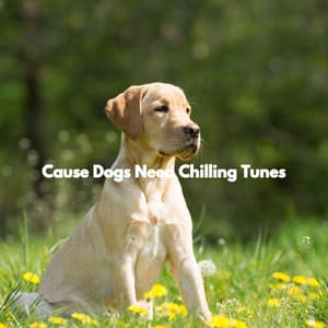 Cause Dogs Need Chilling Tunes - Dinner Party Playlist