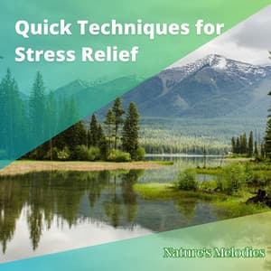 Quick Techniques for Stress Relief - Nature's Melodies