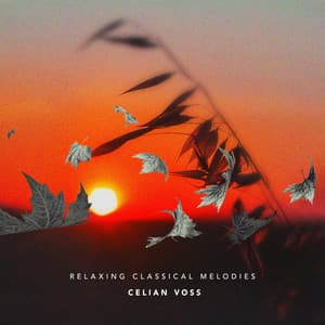 Relaxing Classical Melodies - Celian Voss