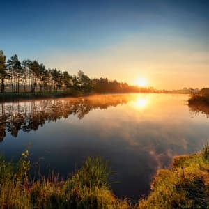 Lofi Bloom In The Static - Spot RELAX