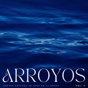 Arroyos: Suaves Sonidos De Ríos En La Noche Vol. 2 - Los durmientes de agua