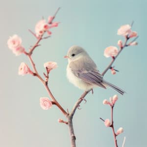 Ritmos De Meditación: Paz Binaural De Las Aves - 80 88 Hz - Meditaciones Pacíficos