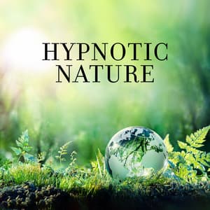Hypnotic Nature: Pure Relaxation Sounds for Anxiety Healing - Relaxing Nature Sounds Collection