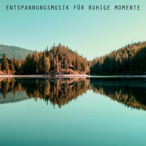 Entspannungsmusik für ruhige Momente - Entspannungszone