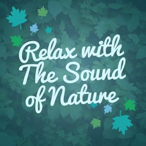 Relax with the Sound of Nature - Relaxing Sounds Of Nature