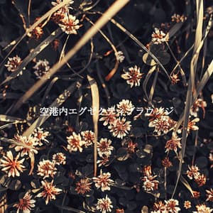 空港内エグゼクティブラウンジ - Luxury Jazz Radio