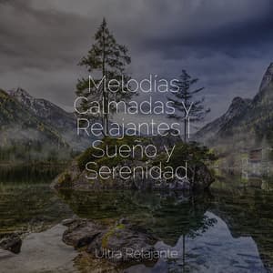 Melodías Calmadas y Relajantes | Sueño y Serenidad - Musica Relajante Specialistas