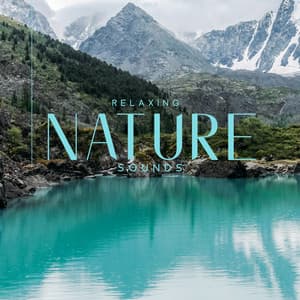Relaxing Nature Sounds: Shooting Music to Help you Sleep, Stay Relaxed and Keep Thinking Positively - Nature Collection