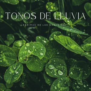 Tonos De Lluvia: Lágrimas De Las Nubes Vol. 1 - Sueño Encantado