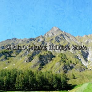 45 Mind Calming Lullabye Music - Rest & Relax Nature Sounds Artists