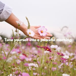 Tune yourself into a peaceful morning - Modern Jazz Fusion