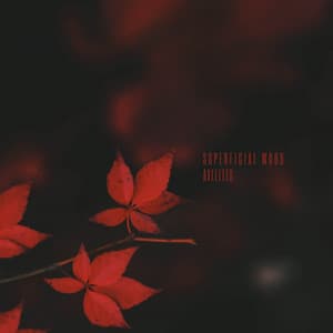 Superficial Wood - Axelites