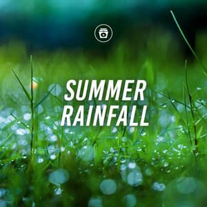 Summer Rainfall - Heavy Rain Sounds