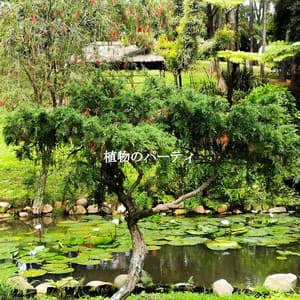 植物のパーティ - Beach Chillout Music