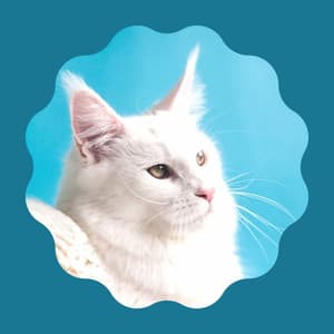 Trumpet and Alto Saxophone - Music for Lonely Cat - Music for Resting Cats