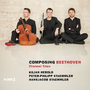 Composing Beethoven - Ludwig van Beethoven