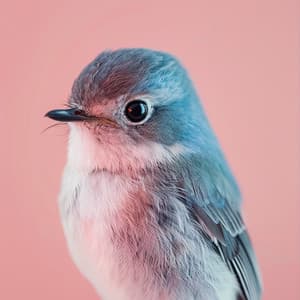 Guardería De La Naturaleza: Sonidos Binaurales De Aves Y Arroyos Para Bebés - 80 88 Hz - Sistema de ritmos binaurales