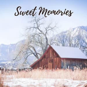 Sweet Memories - Masala Roo