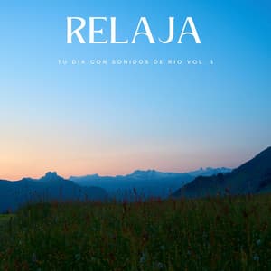 Relaja Tu Día Con Sonidos De Río Vol. 1 - Riverside subterráneo