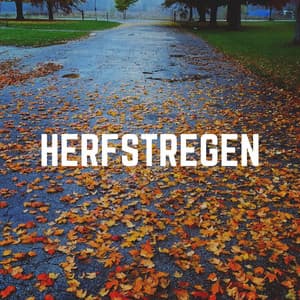 Herfstregen - Geluiden van de Regen