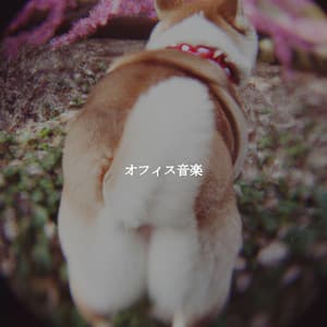 オフィス音楽 - Calming Jazz For Dogs