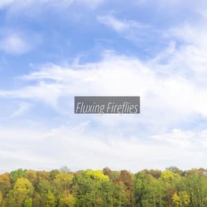 Fluxing Fireflies - Eon Wilder