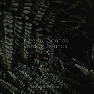 Powerful Sounds | Natural Sounds | Yoga - Relaxing Spa Music