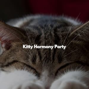 Kitty Harmony Party - Smooth Morning Jazz