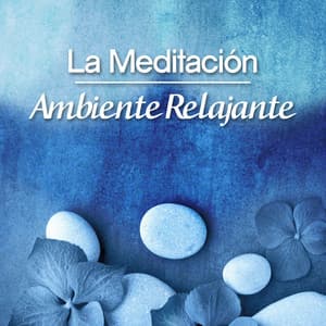 La Meditación Ambiente Relajante - Relajacion Del Mar