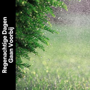 Regenachtige Dagen Gaan Voorbij - Geluiden van de Regen