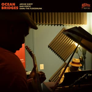 Ocean Bridges - Damu The Fudgemunk