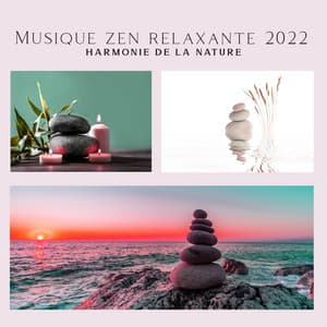 Musique zen relaxante 2022: Harmonie de la nature - Espace détente