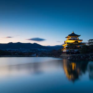 Shibuya Nights - Asian Lofi