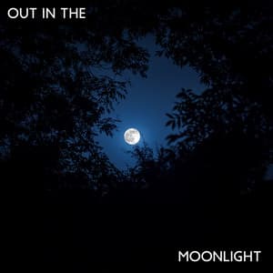 Out In The Moonlight - Enlightened State
