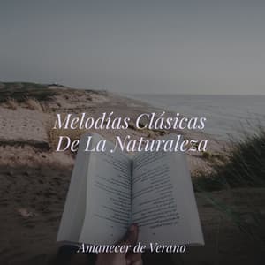 Melodías Clásicas De La Naturaleza - Música Para Meditar y Relajarse