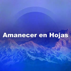 Amanecer en Hojas - Sonidos De Pajaros