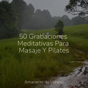 50 Grabaciones Meditativas Para Masaje Y Pilates - Chillout Lounge