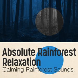 Absolute Rainforest Relaxation - Calming Rainforest Sounds