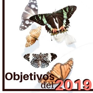 Objetivos del 2019 - Ayuda a Conseguir todo lo que te Propongas con Estas 20 Canciones Inspiradoras - Emociones Positivas Maestro