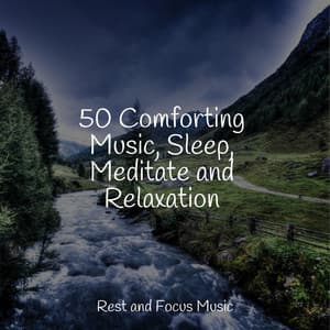 50 Comforting Music, Sleep, Meditate and Relaxation - Study Zone